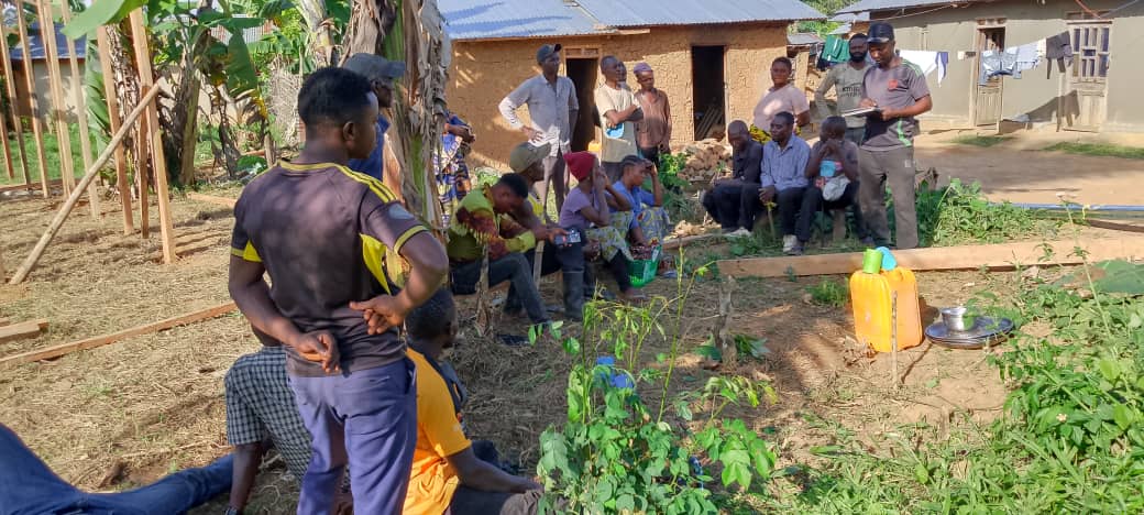 Ginger Tea and Hospitality Help Grow Church in the DRC
